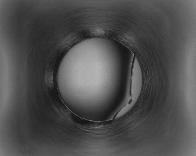 X0000086880267200705071208