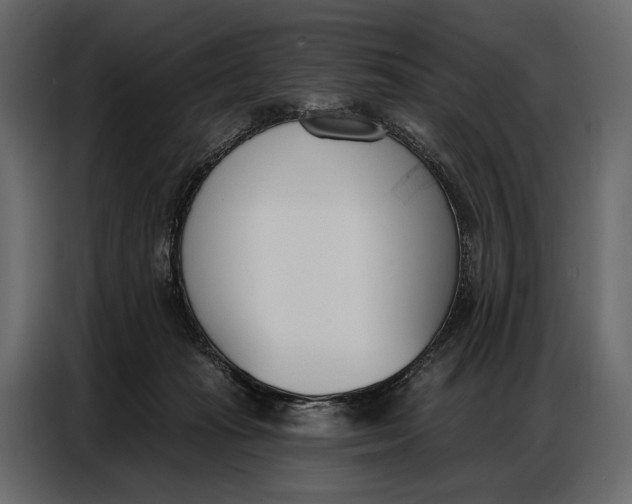 X0000086880269200705071208