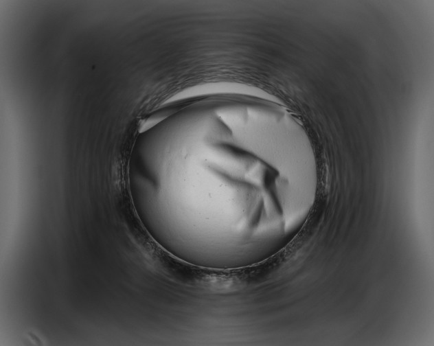 X0000086880272200705071208