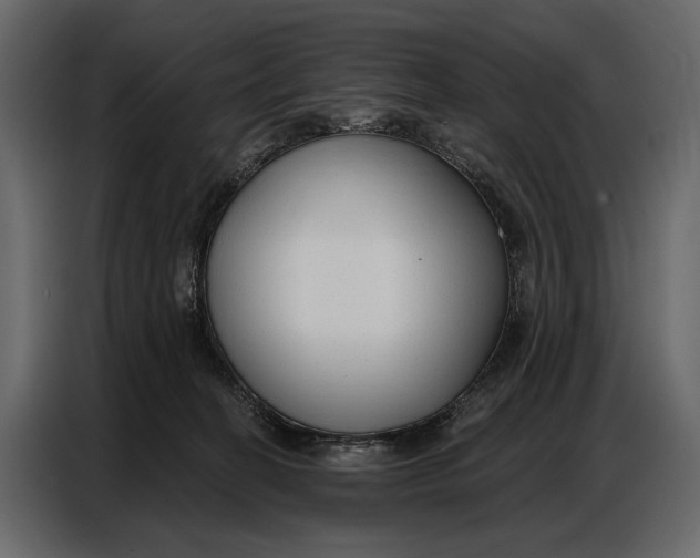 X0000086880274200705071208