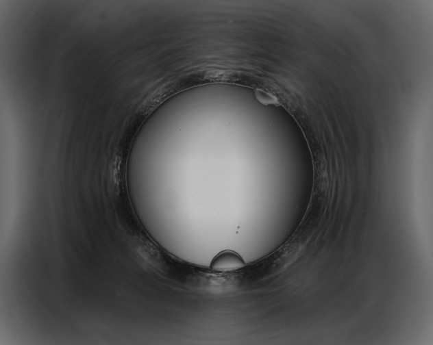 X0000086880275200705071208