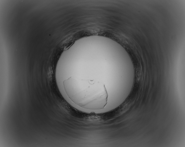 X0000086880279200705071208