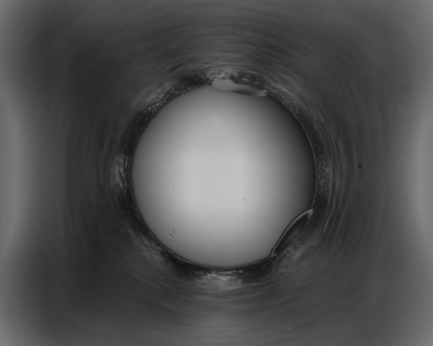 X0000086880280200705071208