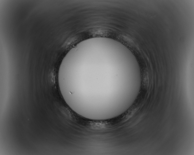 X0000086880282200705071208