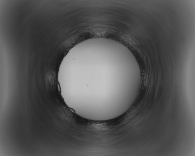 X0000086880283200705071208