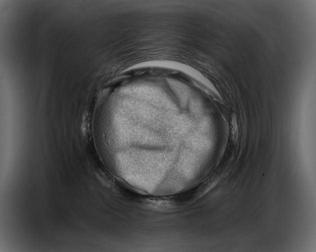 X0000086880284200705071208