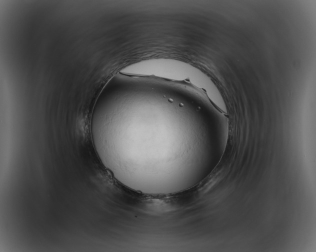 X0000086880285200705071208