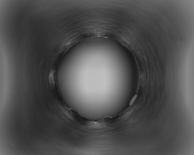 X0000086880286200705071208