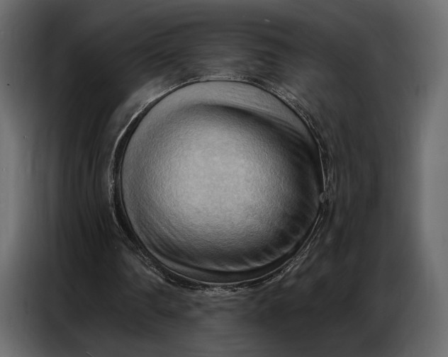 X0000086880290200705071208