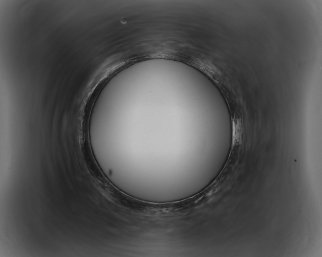 X0000086880291200705071208