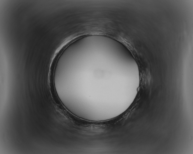 X0000086880292200705071208