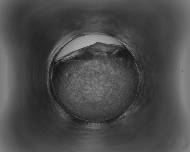 X0000086880293200705071208