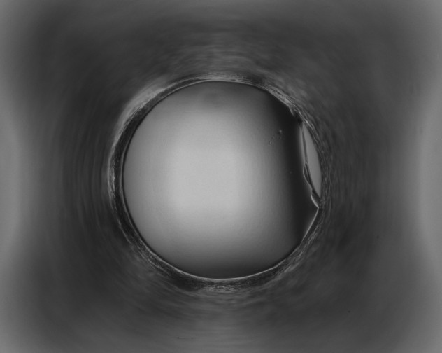 X0000086880294200705071208