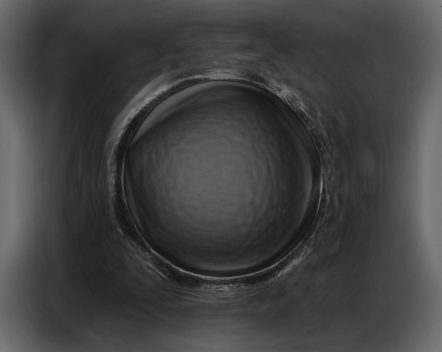 X0000086880295200705071208