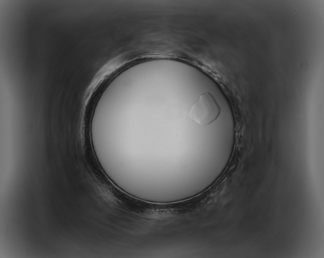 X0000086880296200705071207