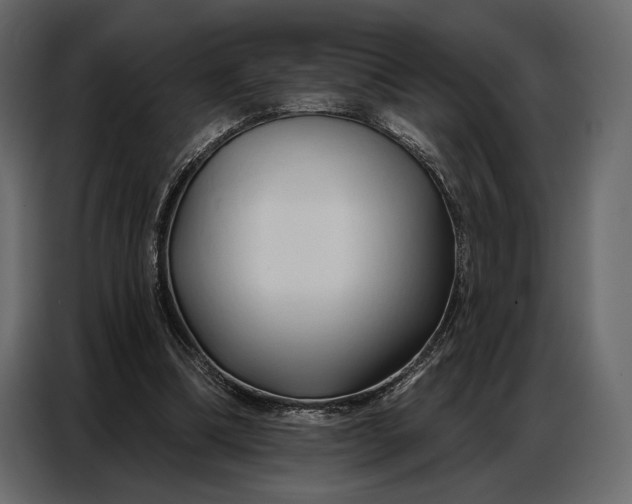 X0000086880298200705071207