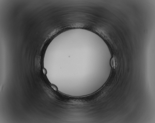 X0000086880300200705071207