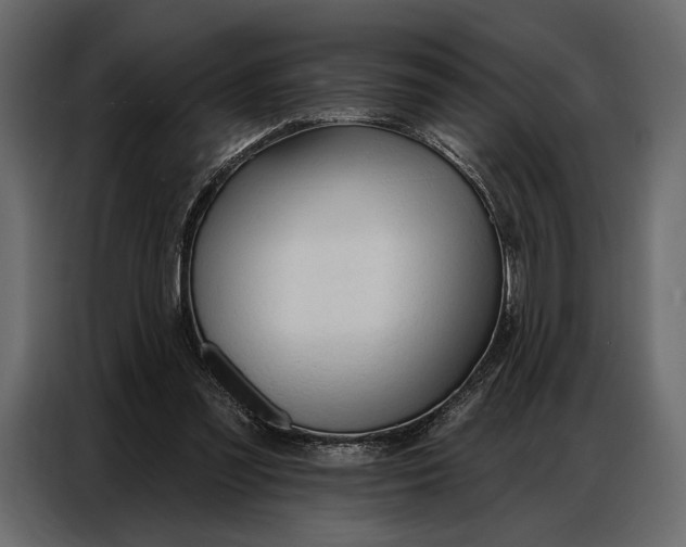 X0000086880301200705071207