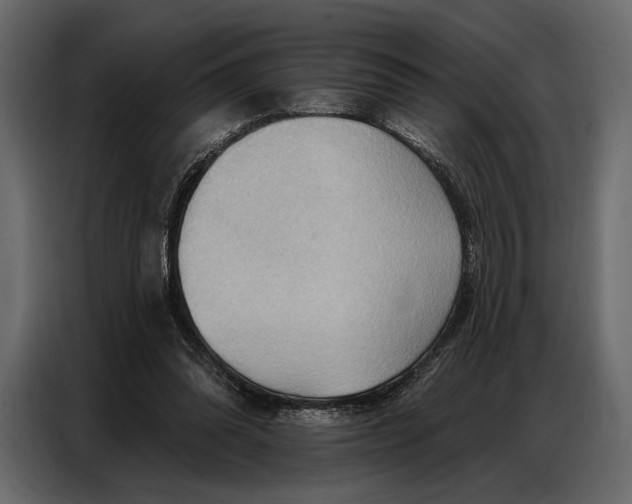 X0000086880302200705071207