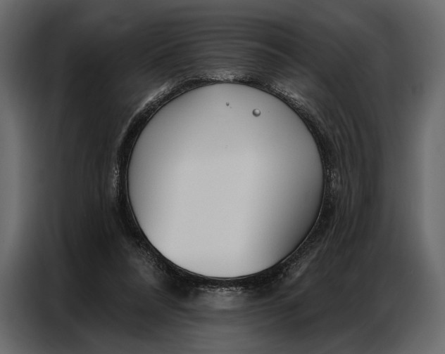 X0000086880304200705071207