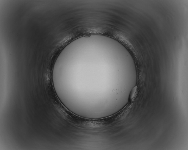 X0000086880305200705071207