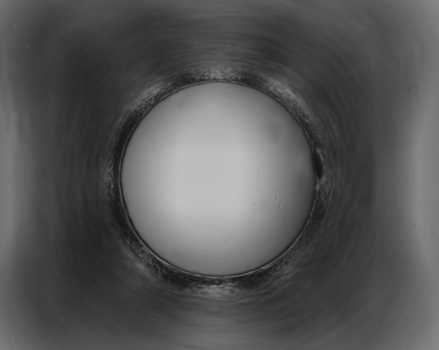 X0000086880306200705071207