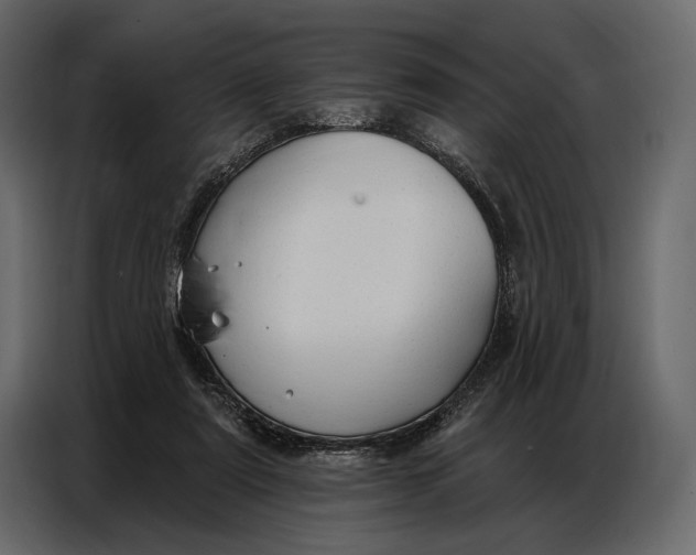 X0000086880307200705071207