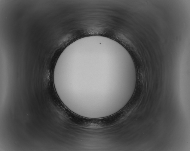 X0000086880308200705071207