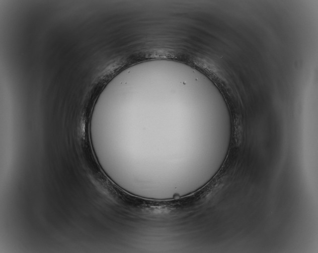 X0000086880310200705071207