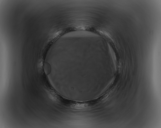 X0000086880314200705071207