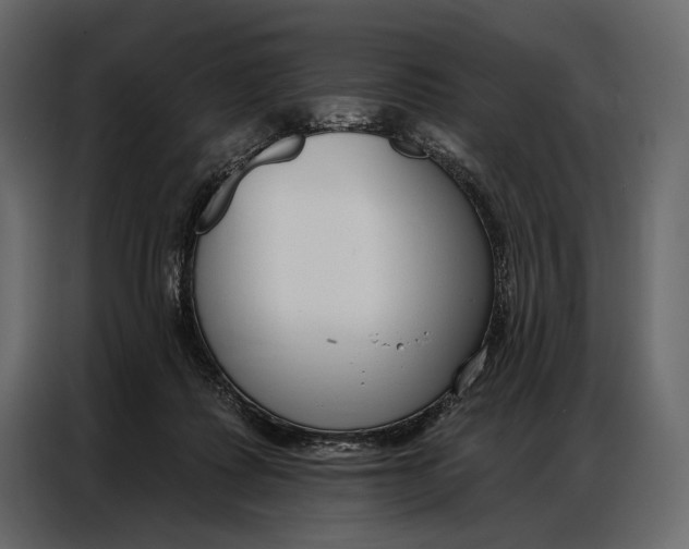 X0000086880315200705071207