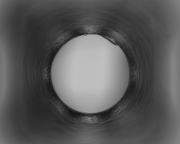 X0000086880317200705071207