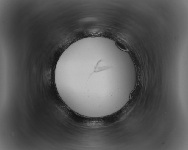 X0000086880319200705071207