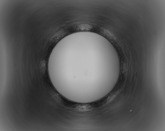 X0000086880321200705071207