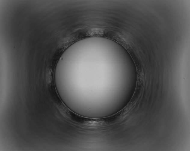 X0000086880323200705071207