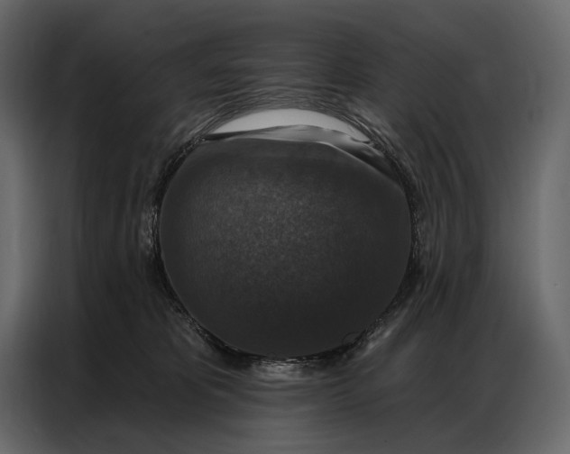 X0000086880325200705071207