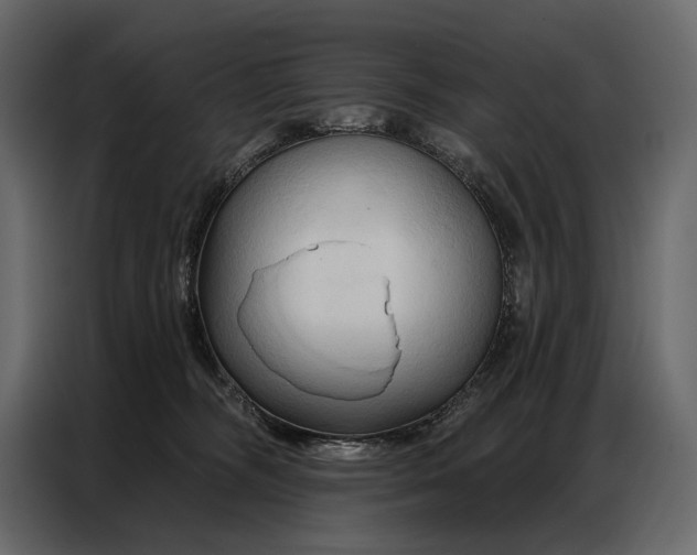 X0000086880326200705071207