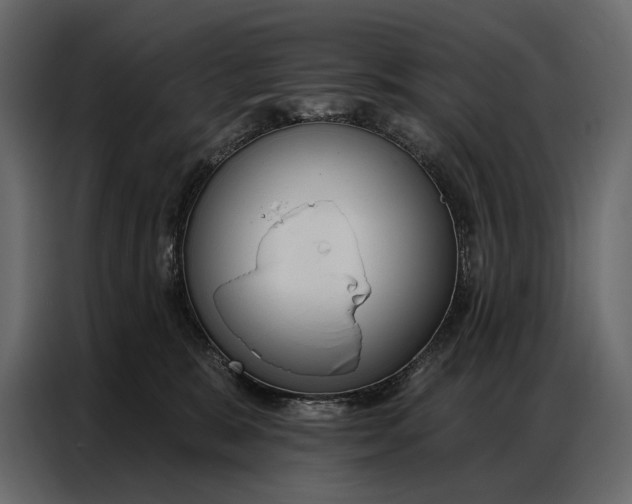 X0000086880327200705071207