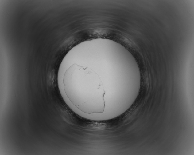 X0000086880328200705071207