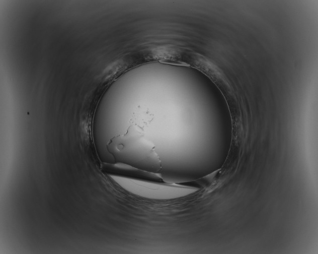 X0000086880329200705071207