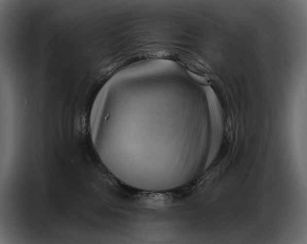 X0000086880330200705071207