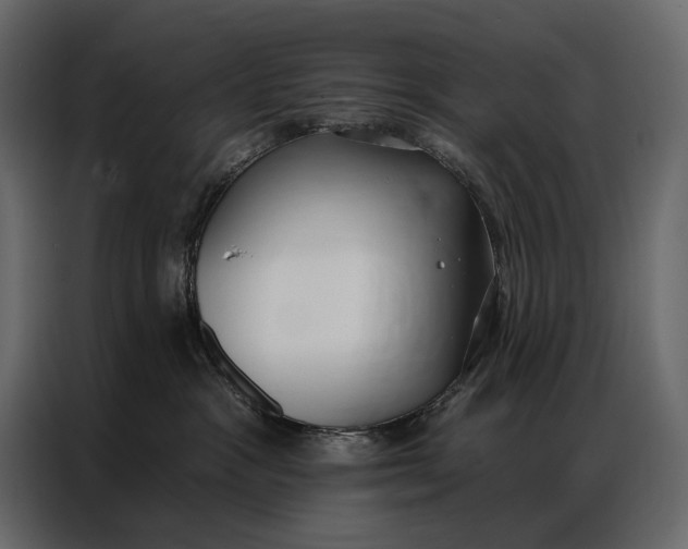 X0000086880333200705071207