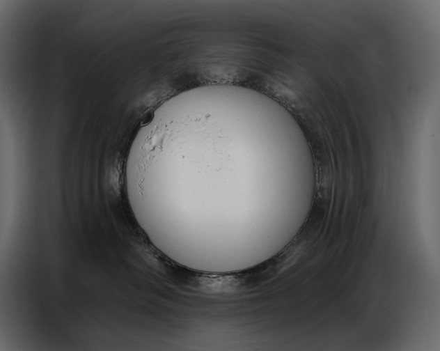 X0000086880334200705071207