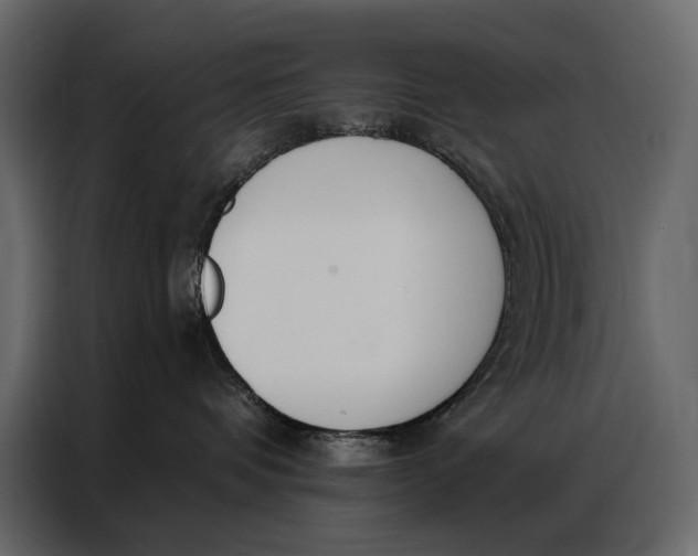 X0000086880336200705071207