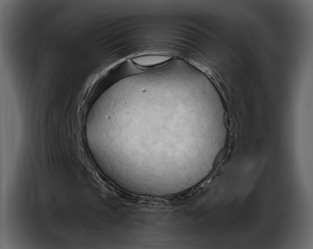 X0000086880337200705071206