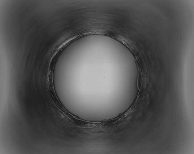 X0000086880338200705071206