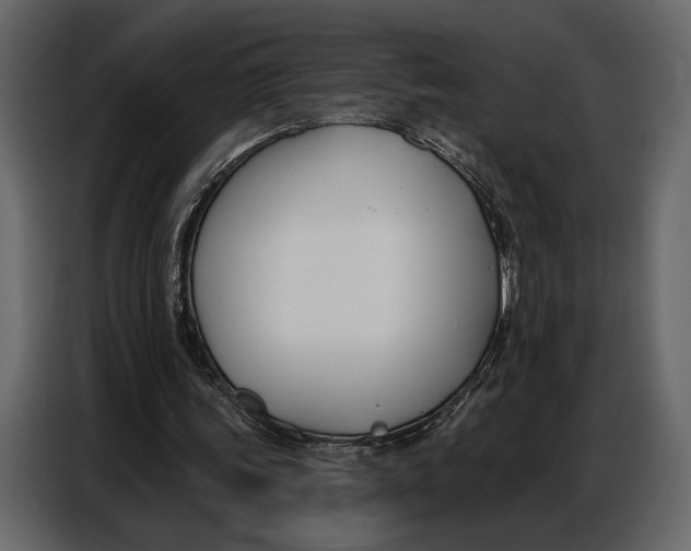 X0000086880339200705071206