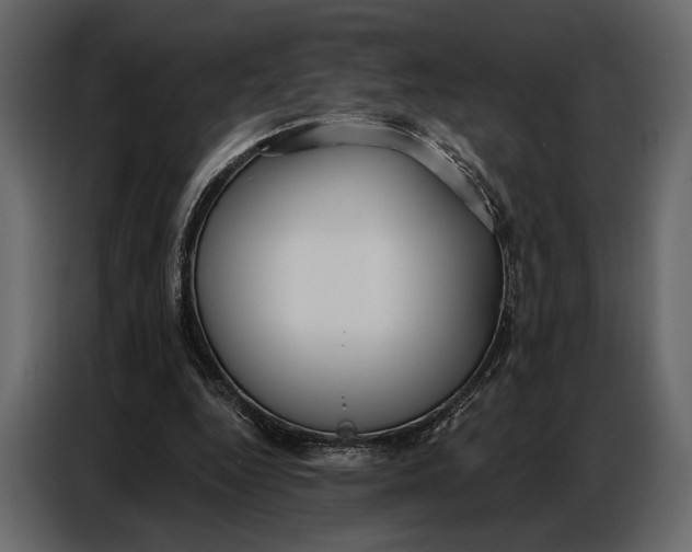 X0000086880344200705071206