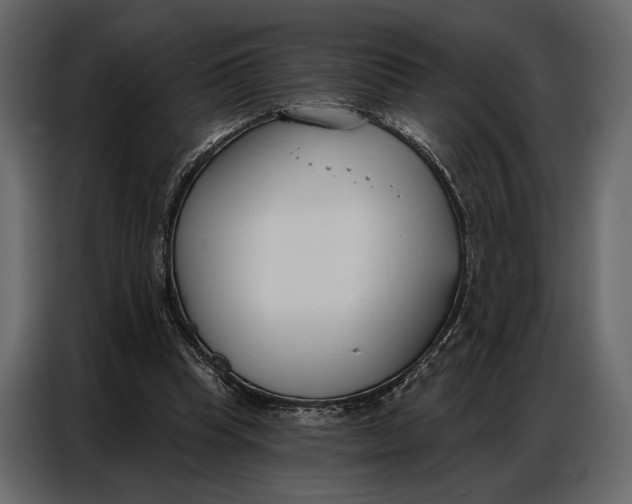 X0000086880345200705071206