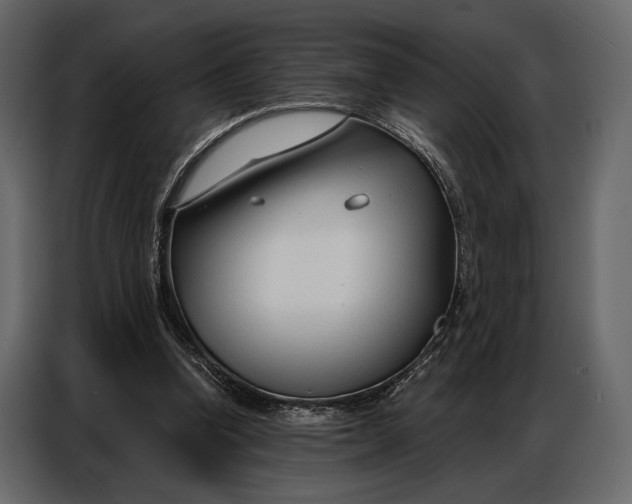 X0000086880346200705071206